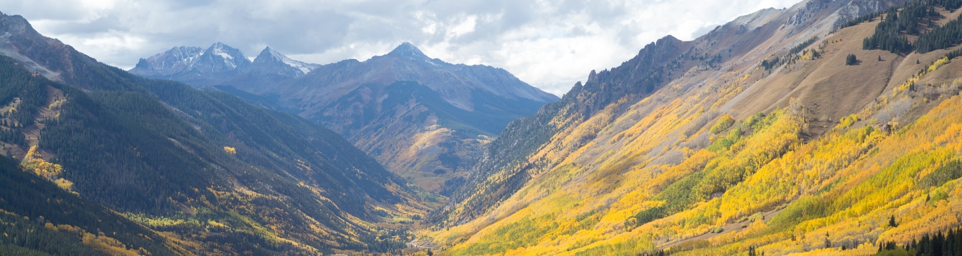 Autumn ophir pass, Colorado